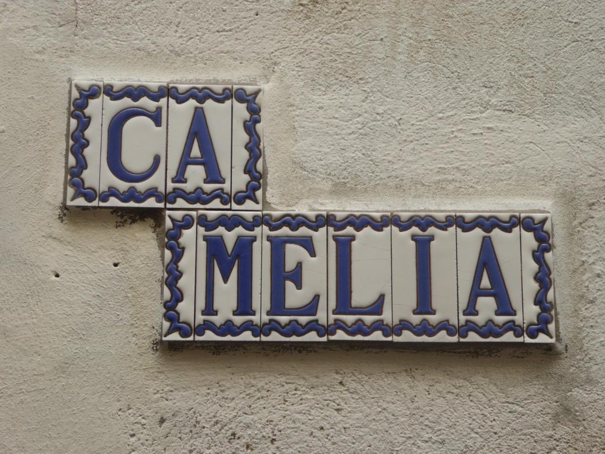 Apartamento Ca Melia Bedigliora Exterior foto