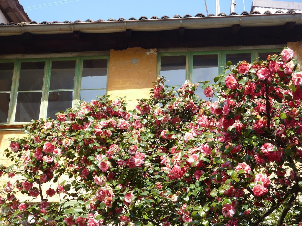 Apartamento Ca Melia Bedigliora Exterior foto